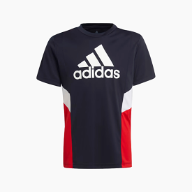 Adidas Design to Move Kids Boys T-shirt -Legend Ink/Vivid Red / White