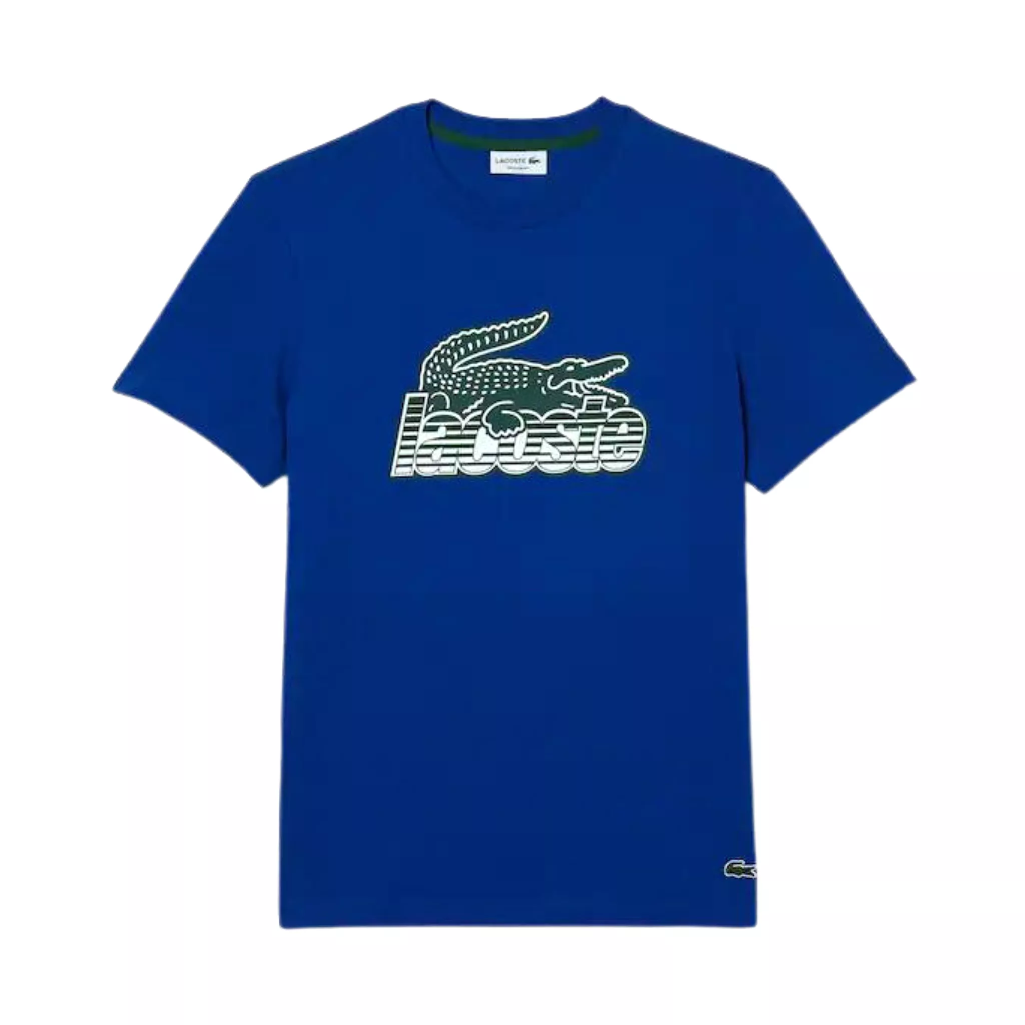 Lacoste Cotton Jersey Print T-Shirt (Royal)