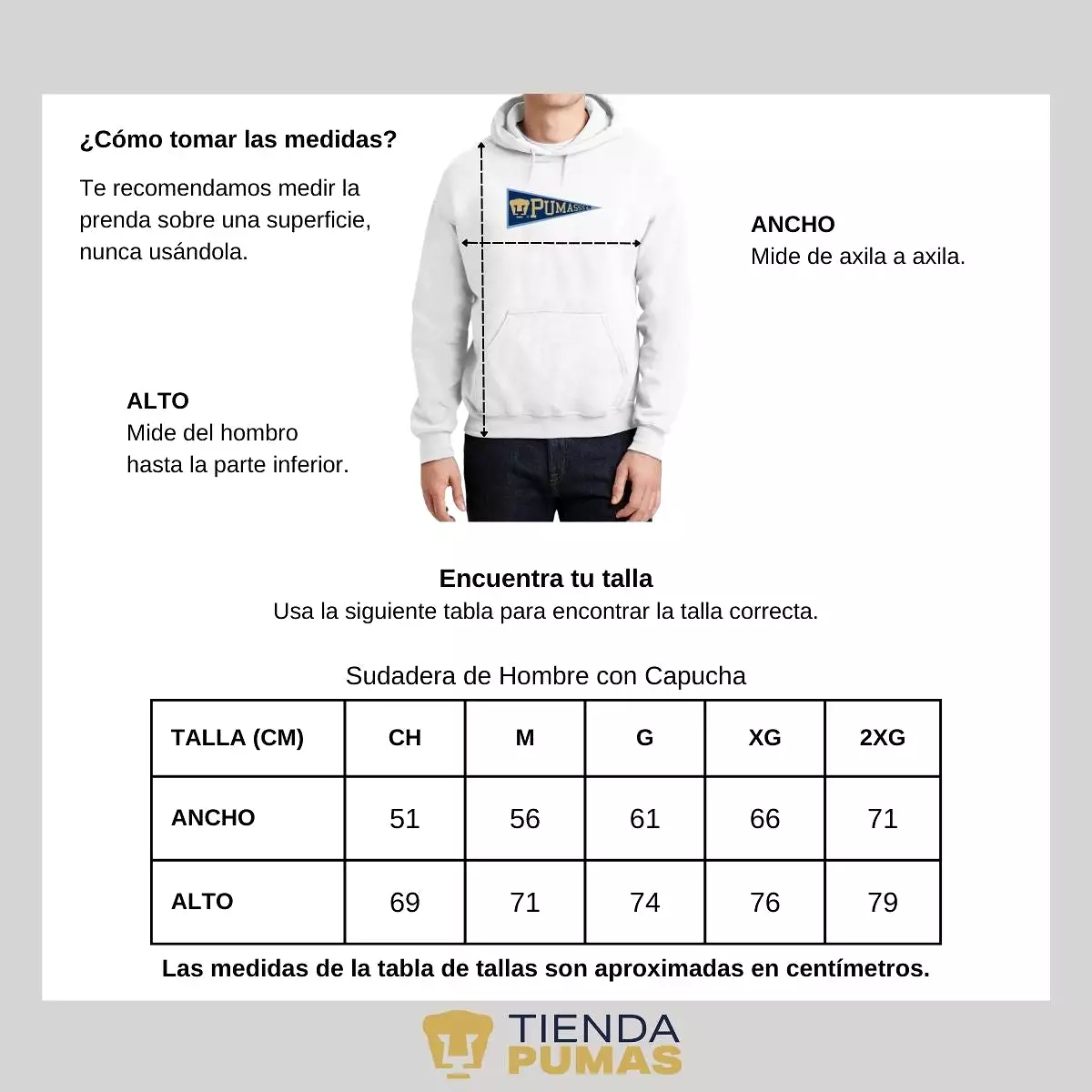 Sudadera Hombre Hoodie Pumas UNAM Banderín