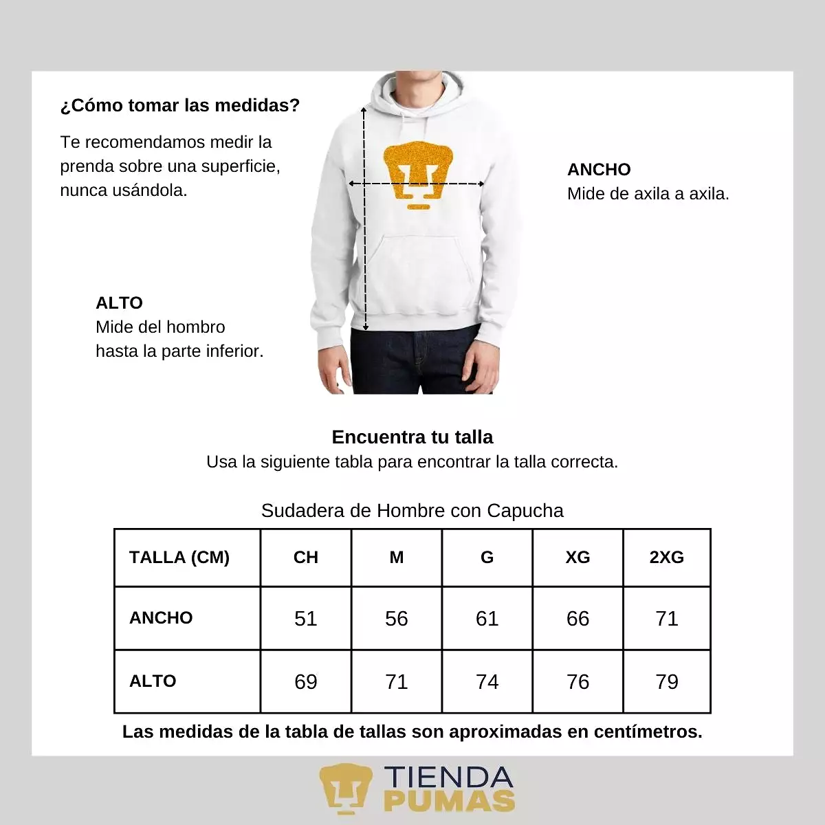 Sudadera Hombre Hoodie Pumas UNAM Logo Dorado Glitter