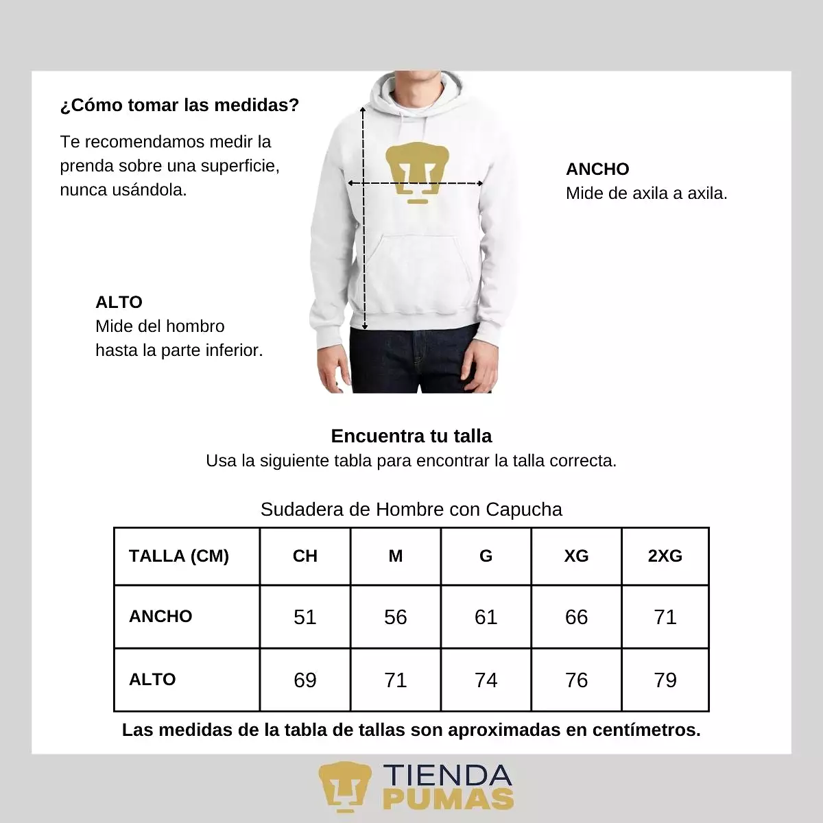 Sudadera Hombre Hoodie Pumas UNAM Logo Dorado Vinil